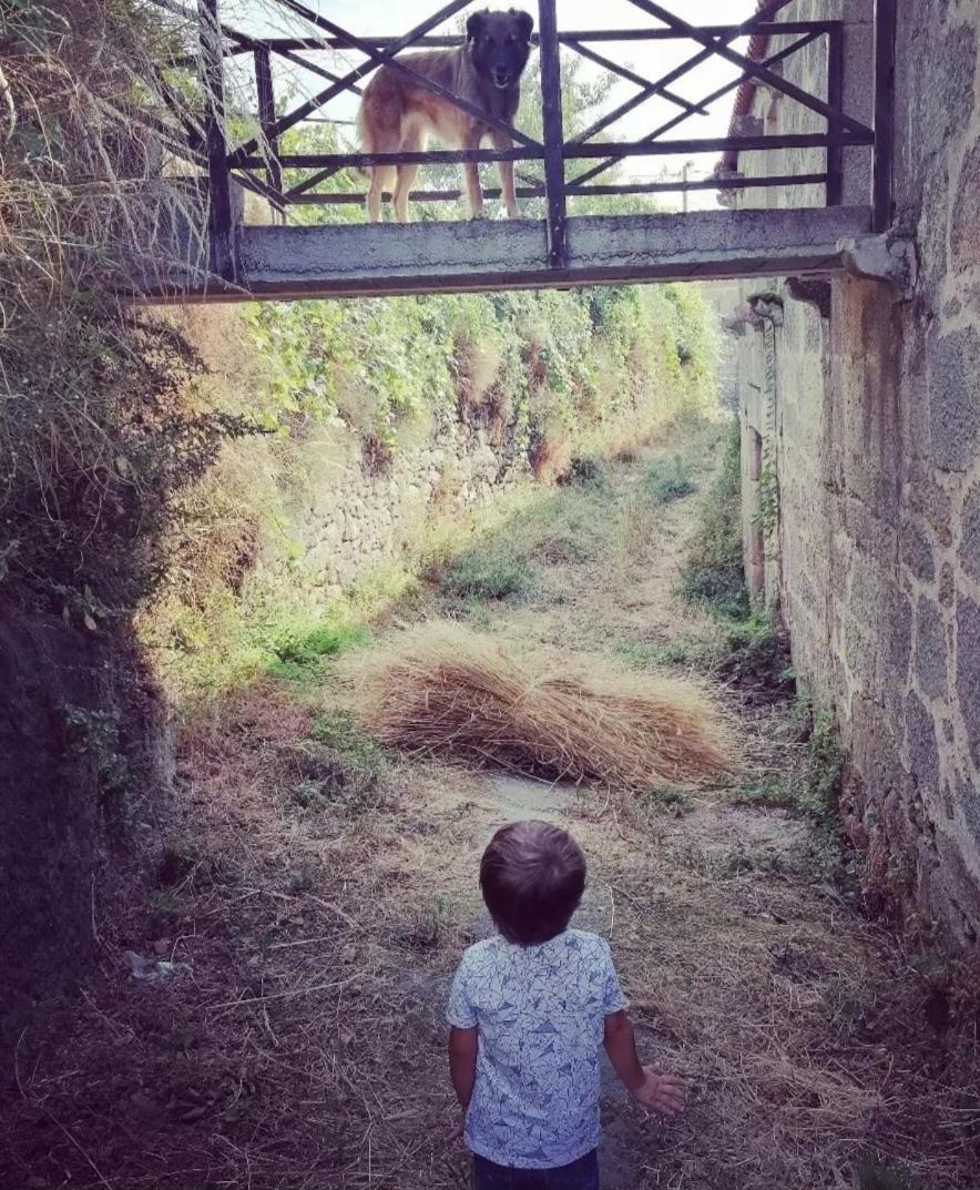 Villa Casa Da Moiroa Sendim  Esterno foto