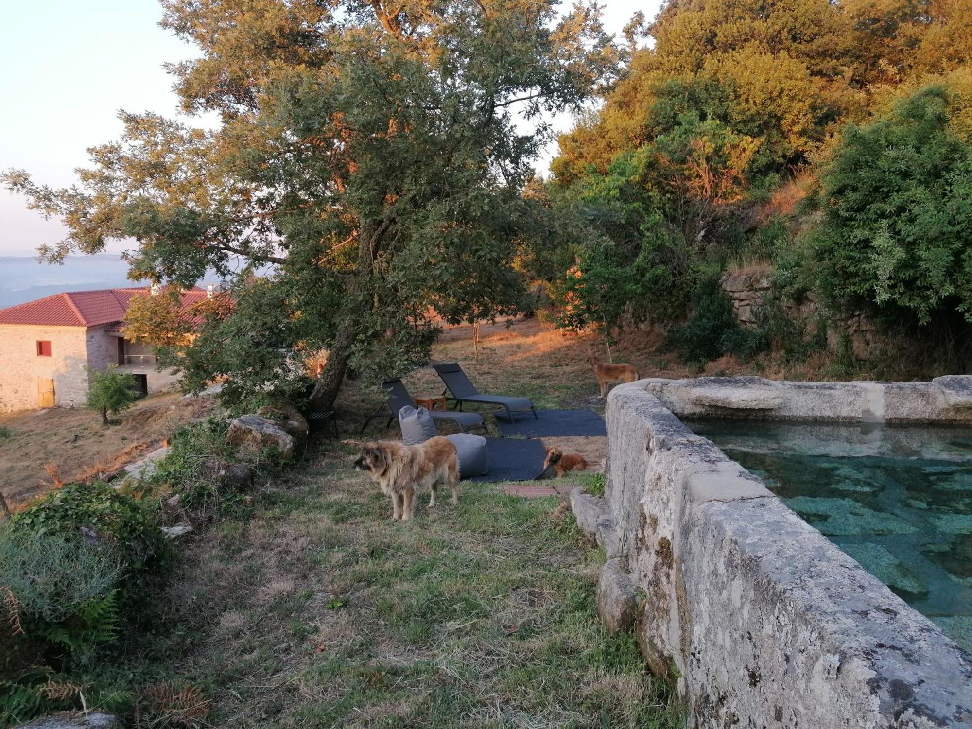 Villa Casa Da Moiroa Sendim  Esterno foto